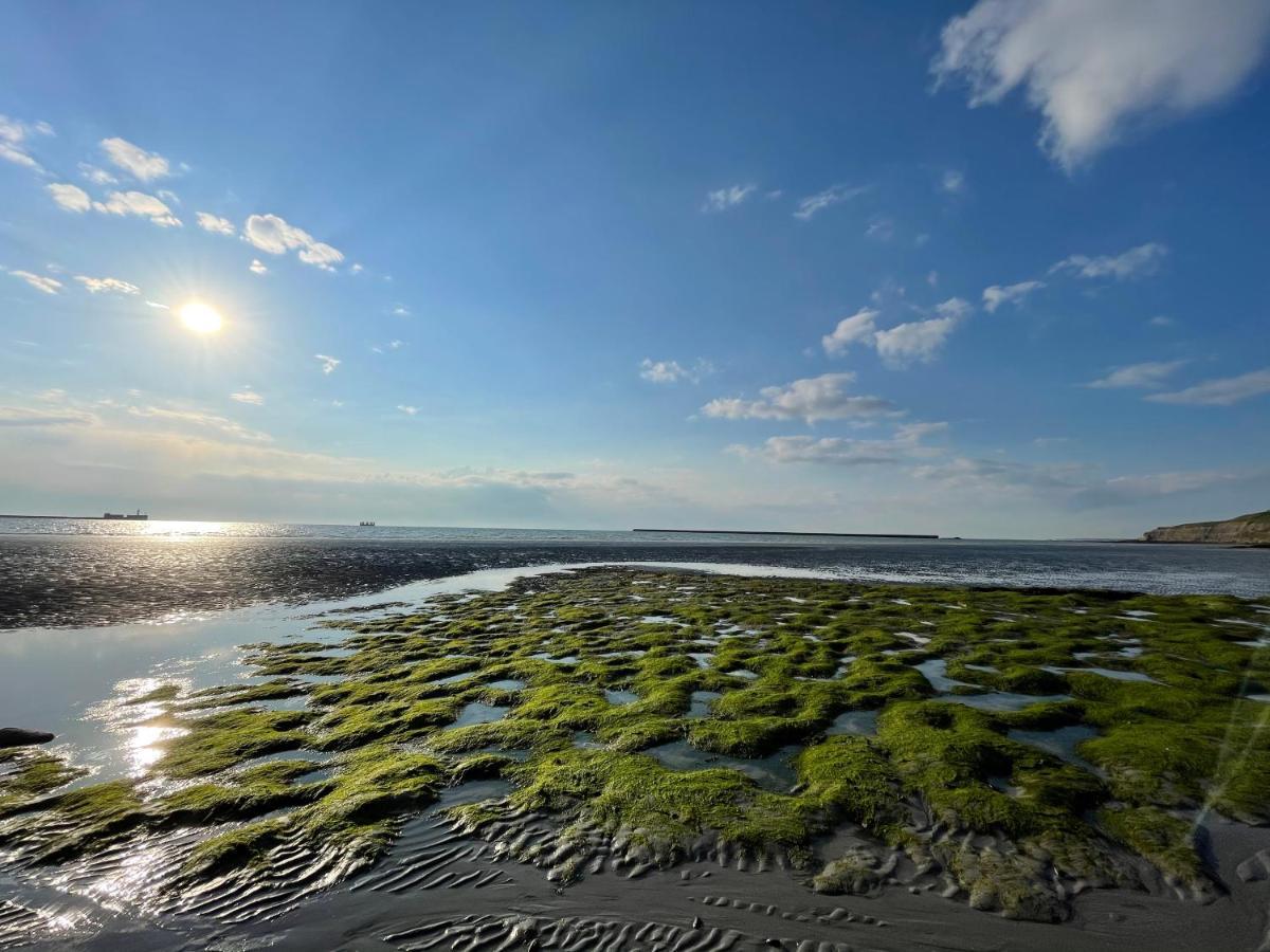 Superbe Vue Mer Face A Nausicaa Boulogne-sur-Mer Eksteriør billede